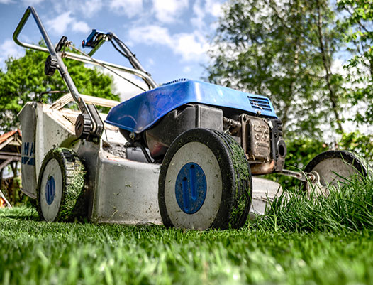 Lawn Maintenance